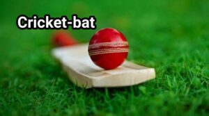 Cricket bat website